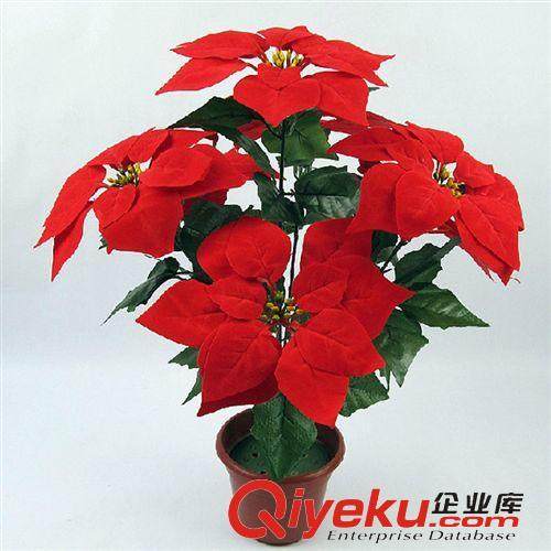 84岁才开始创业 制作绢花盆景