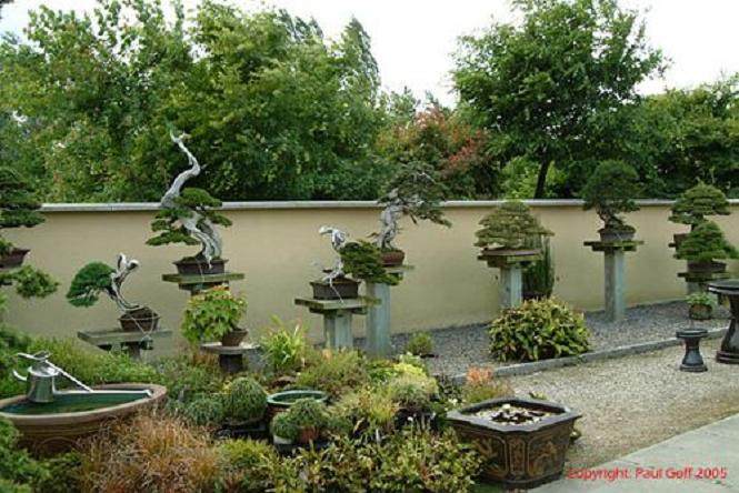 湖北省首个私家高端盆景园留英园开园