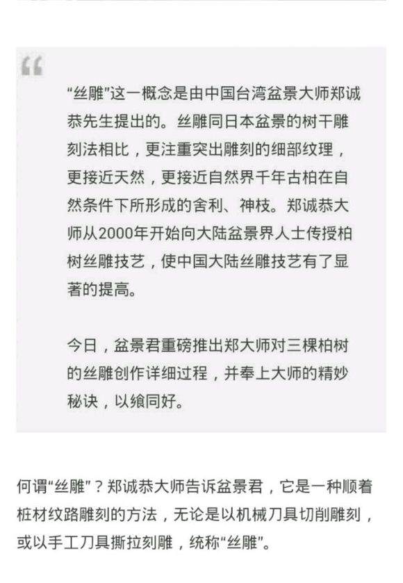 图解 郑诚恭怎么雕刻柏树盆景丝雕的方法