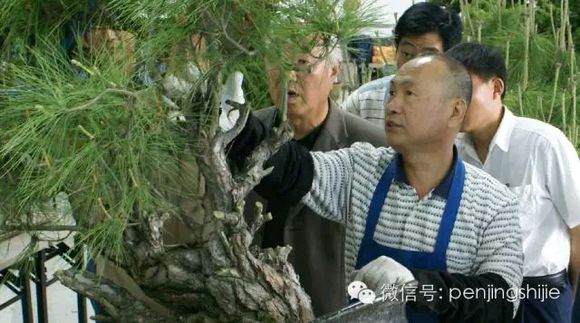 图解 郑诚恭怎么雕刻柏树盆景丝雕的方法