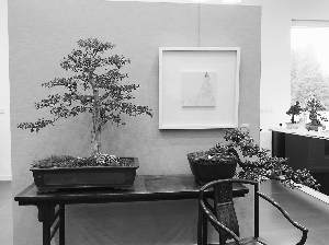 本报见习记者 王嘉祎