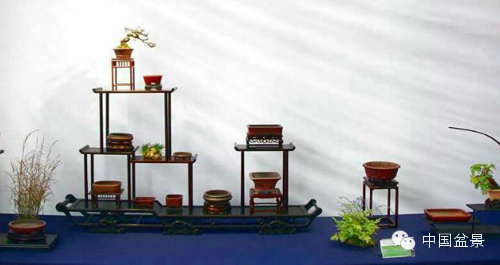 第二届全国网络会员小型微型盆景精品展作品欣赏