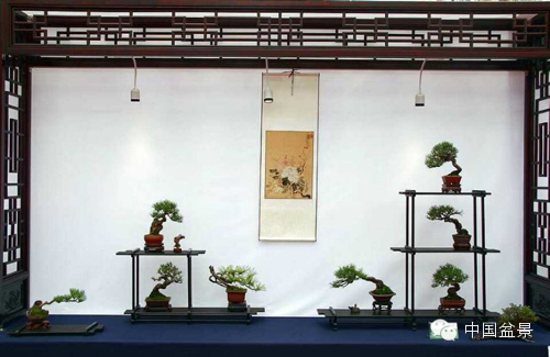 第二届全国网络会员小型微型盆景精品展作品欣赏