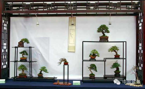 第二届全国网络会员小型微型盆景精品展作品欣赏