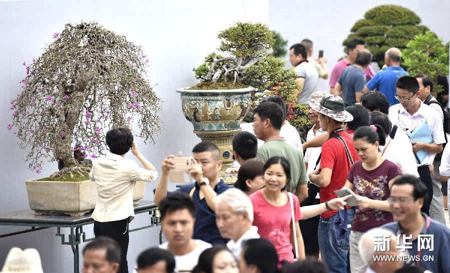 2015国际盆景大会暨亚太盆景赏石大会