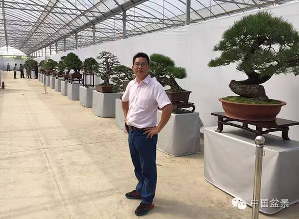 2015中国沭阳花木盆景节于9月28日至10月7日举办