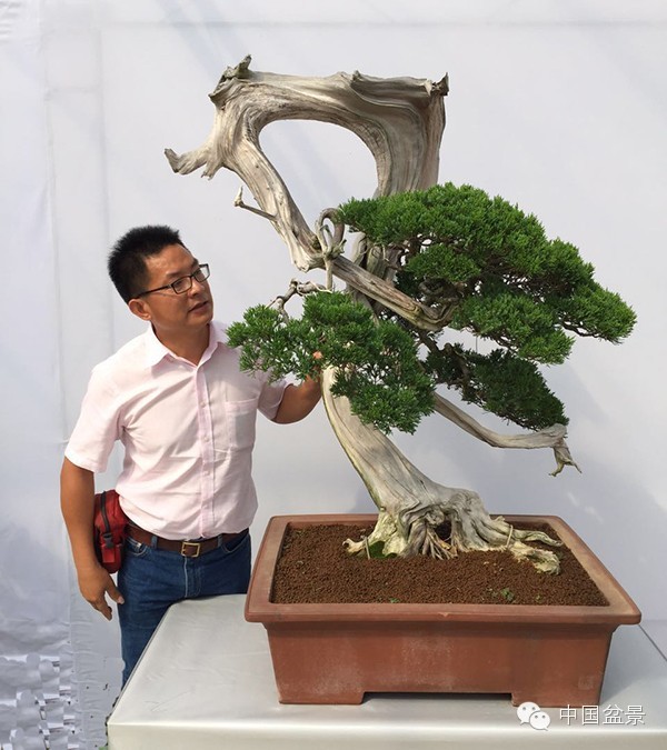 2015中国沭阳花木盆景节于9月28日至10月7日举办