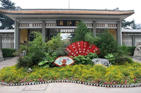 国庆郑州碧沙岗“返璞归真” 百余盆景妆点公园