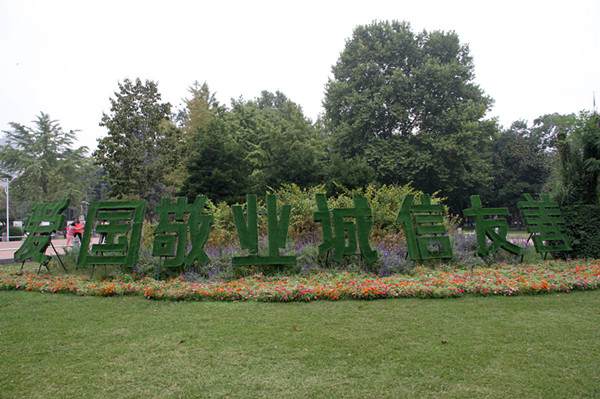 国庆郑州碧沙岗“返璞归真” 百余盆景妆点公园