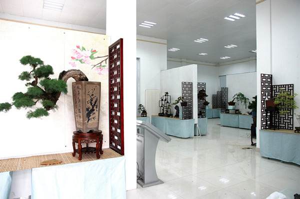 国庆郑州碧沙岗“返璞归真” 百余盆景妆点公园