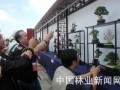 第三届全国网络会员盆景精品展