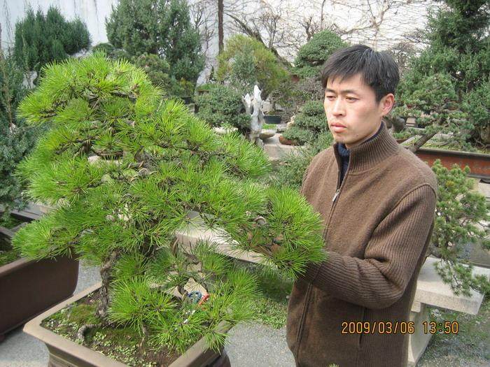 陆伟 一个有着11年党龄的高级盆景技师