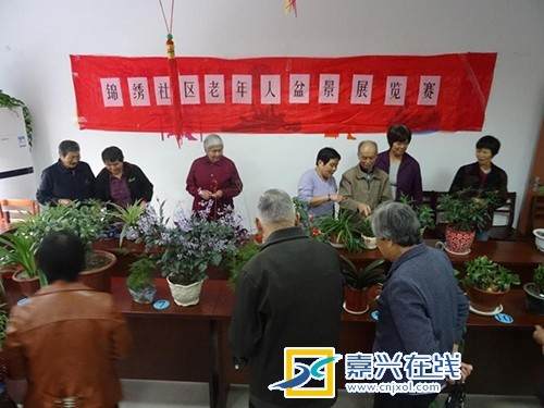 嘉兴锦绣社区举办老年盆景展