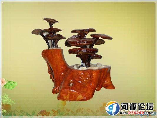 别小看这灵芝盆景 做起来非常麻烦