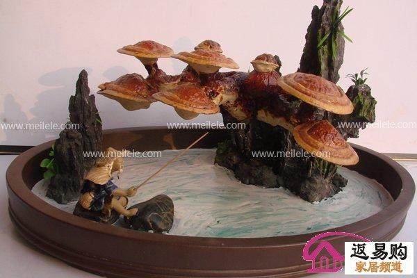 直径1尺左右的灵芝盆景售价就要数百元