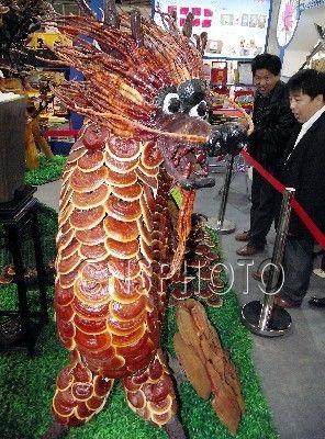 泰安灵芝盆景 年收入200万