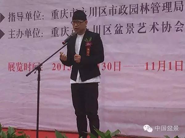 弹子之乡永川首届盆景艺术展盛况空前