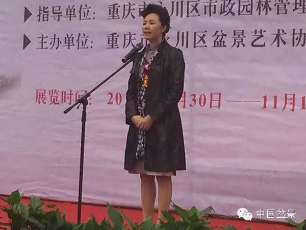 弹子之乡永川首届盆景艺术展盛况空前