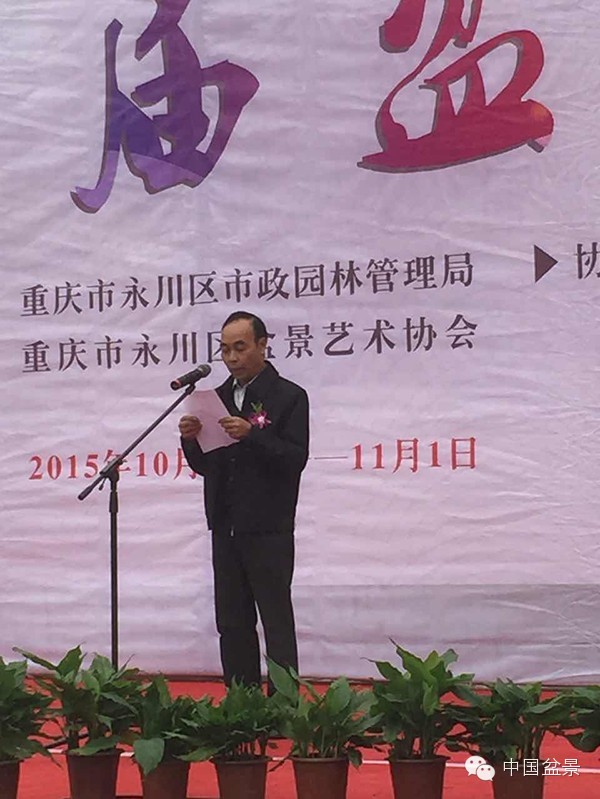 弹子之乡永川首届盆景艺术展盛况空前