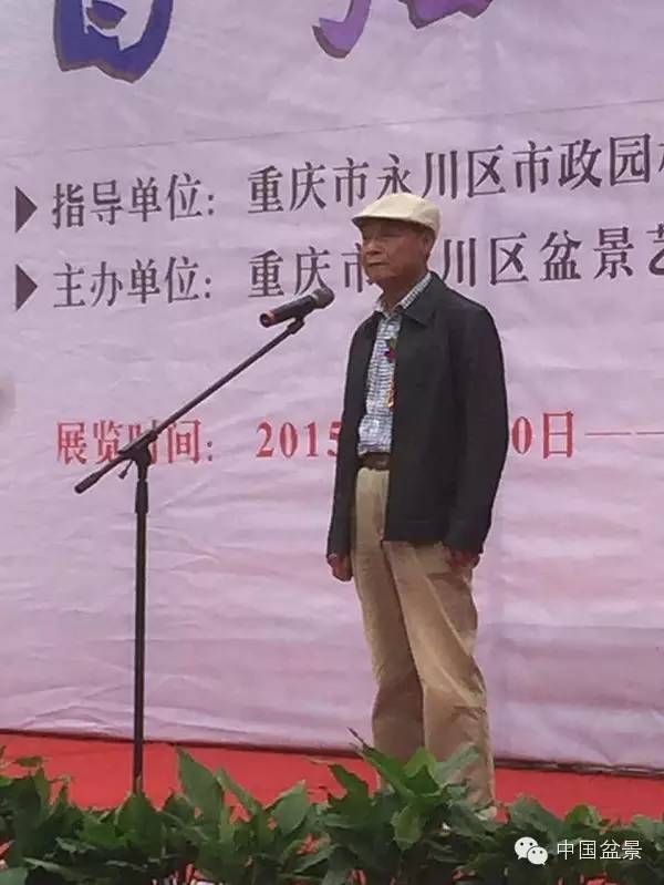 弹子之乡永川首届盆景艺术展盛况空前