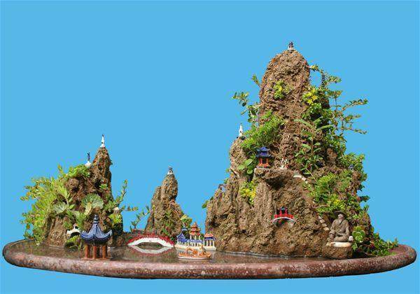 安顺文庙举办了一场别开生面的盆景拍卖会