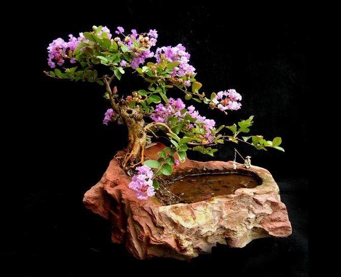 石栽盆景的历史与艺术价值