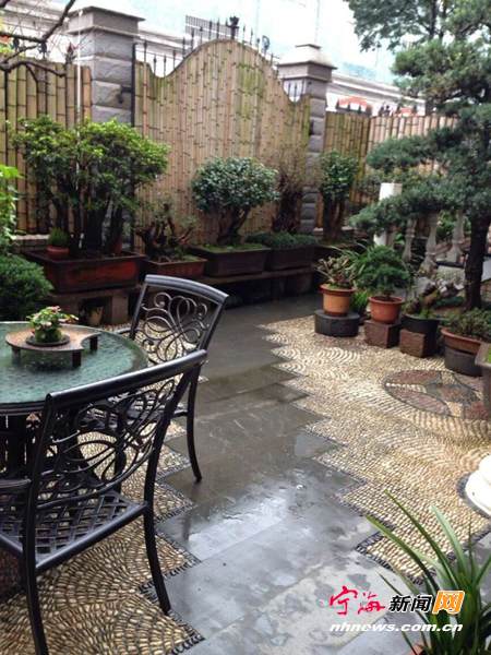 一花一树一盆景 在家享受田园之乐