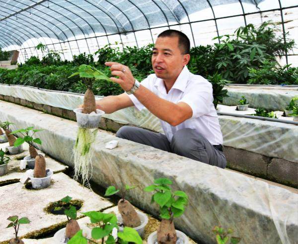 看我 如何让盆景在水里生长？