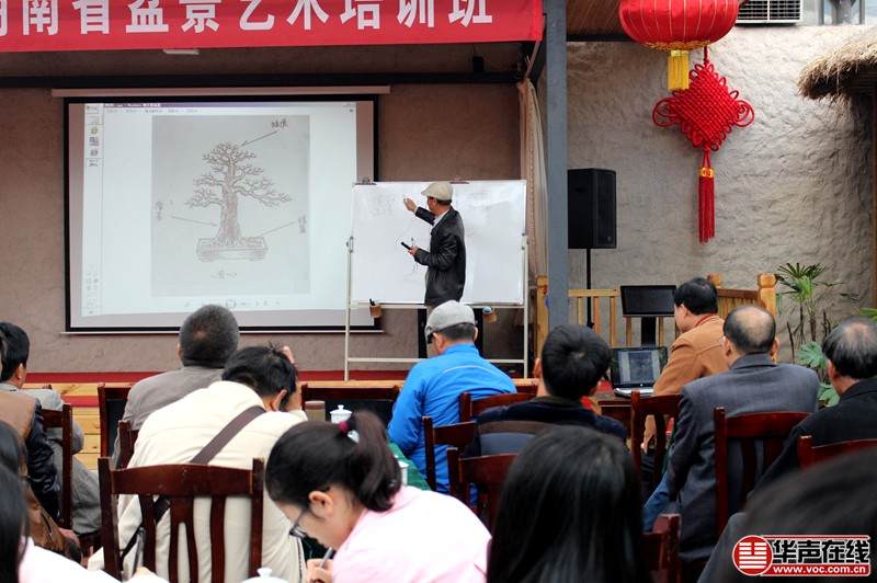 三湘都市报盆景艺术大师来湘授艺