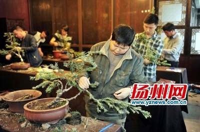 记者昨了解到，来自江苏省13个城市的盆景工和花卉园艺工，分别在个园、何园进行盆景制作和插花技能比赛。在参赛选手精心剪插下，一盆盆色彩艳丽、姿态万千的花艺或盆景跃然眼前。向家富刘江瑞摄