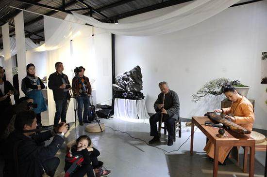 苏派盆景为中国盆景五大流派之重