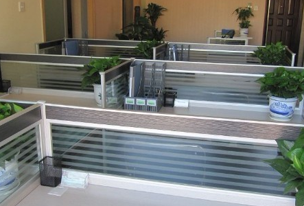 办公室风水的4个盆栽忌讳