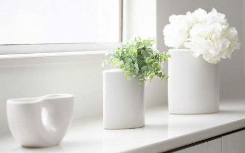 别轻视了办公室盆栽的风水意义