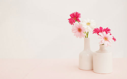 别轻视了办公室盆栽的风水意义