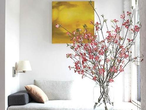 室内盆栽风水禁忌 富贵花的摆放讲究 室内盆栽风水禁忌 富贵花的摆放讲究