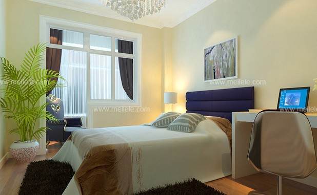 室内盆栽风水怎么布局的方法 图片