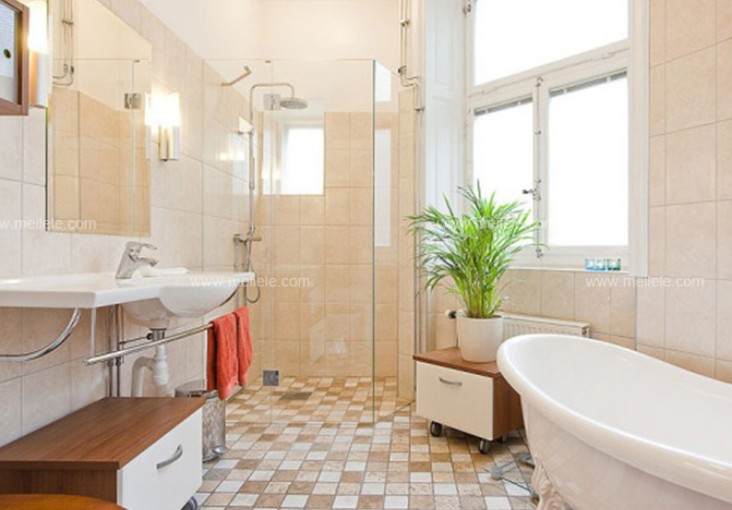 室内盆栽风水怎么布局的方法 图片