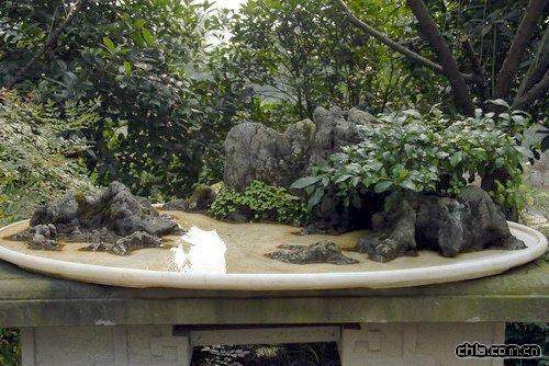 唐山市将开展盆景交流暨展赛活动