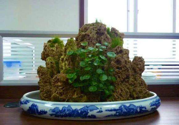 记渤海的山水盆景艺人王子海