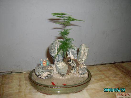 2013国际盆景大会暨国际盆栽协会50周年庆在扬州拉开帷幕