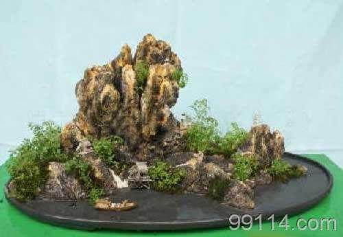 国际盆景协会成立50周年庆典在扬举行