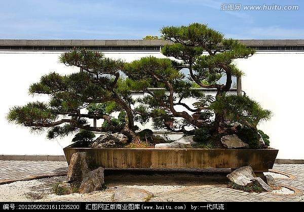 探访徽派盆景的发源地-卖花渔村