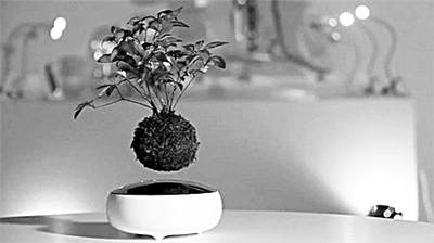 最近日本设计团队设计了这种磁悬浮盆景