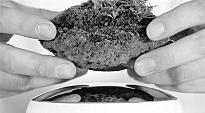 最近日本设计团队设计了这种磁悬浮盆景