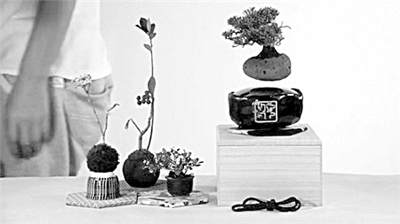 最近日本设计团队设计了这种磁悬浮盆景