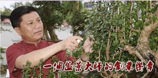 刘传刚盆景艺术家的创业乐章