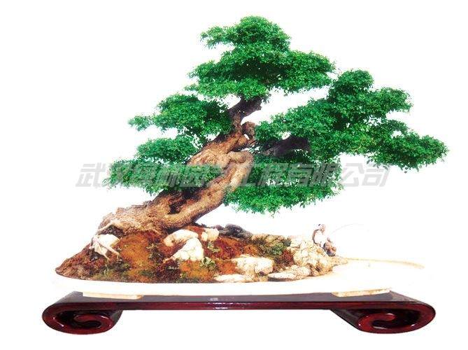 王选民在家乡考察盆景