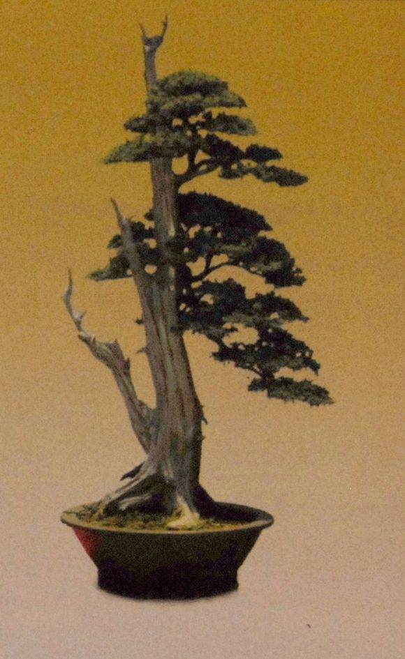 读王选民先生之《倚剑白云》有感