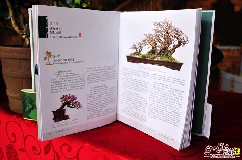 国际盆景大师刘传刚印象