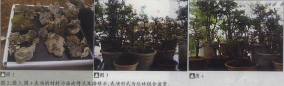 hmss20060706-2-l.jpg hmss20060706-2-l.jpg